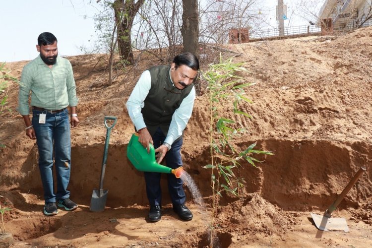 WORLD ENVIRONMENT DAY CELEBRATIONS AT MUJ CAMPUS